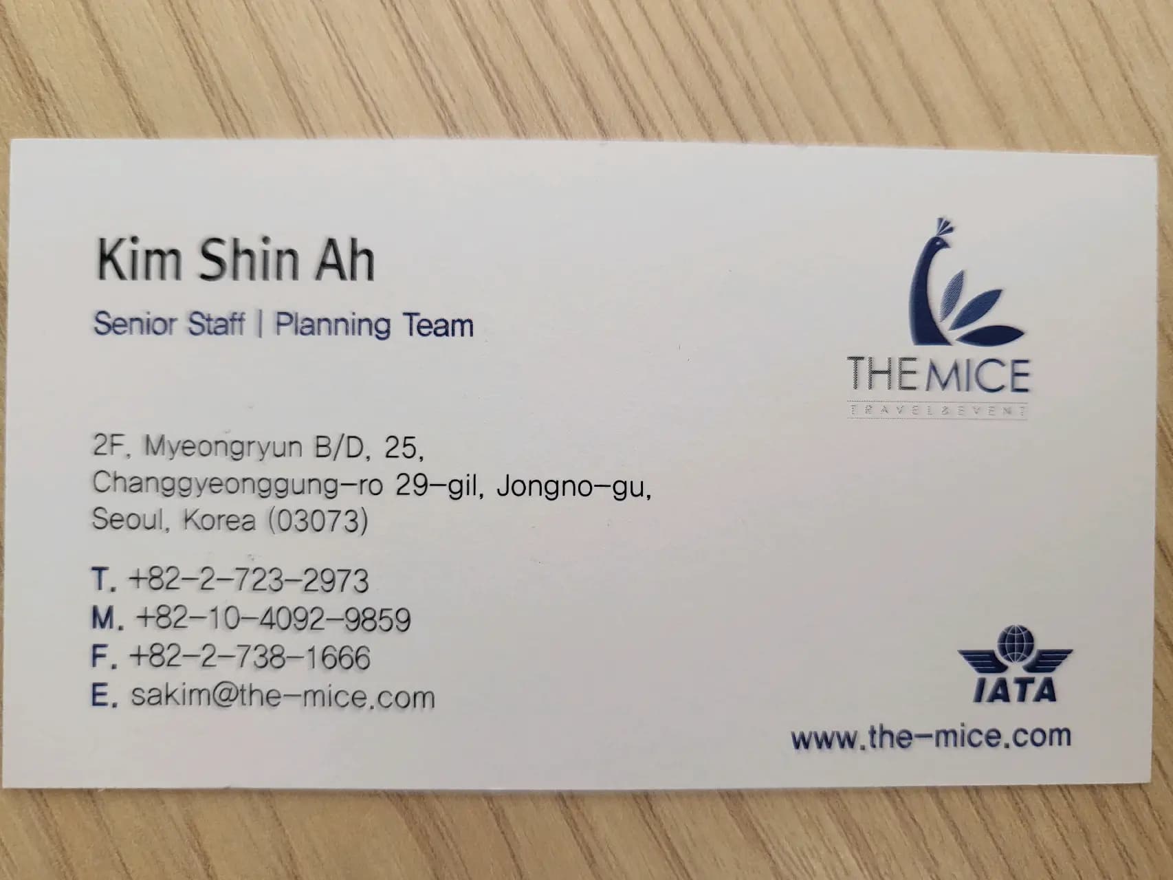 12월 베를린 행사 스태프 모집