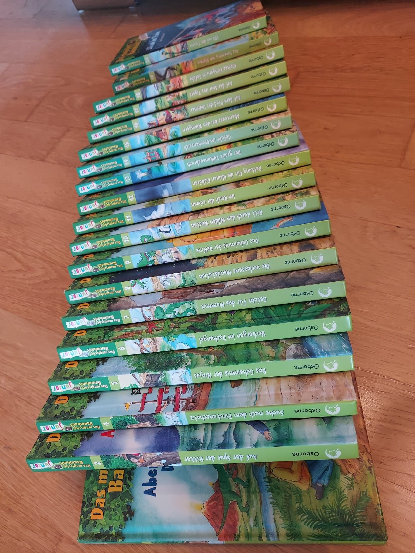 Das magische Baumhaus junior