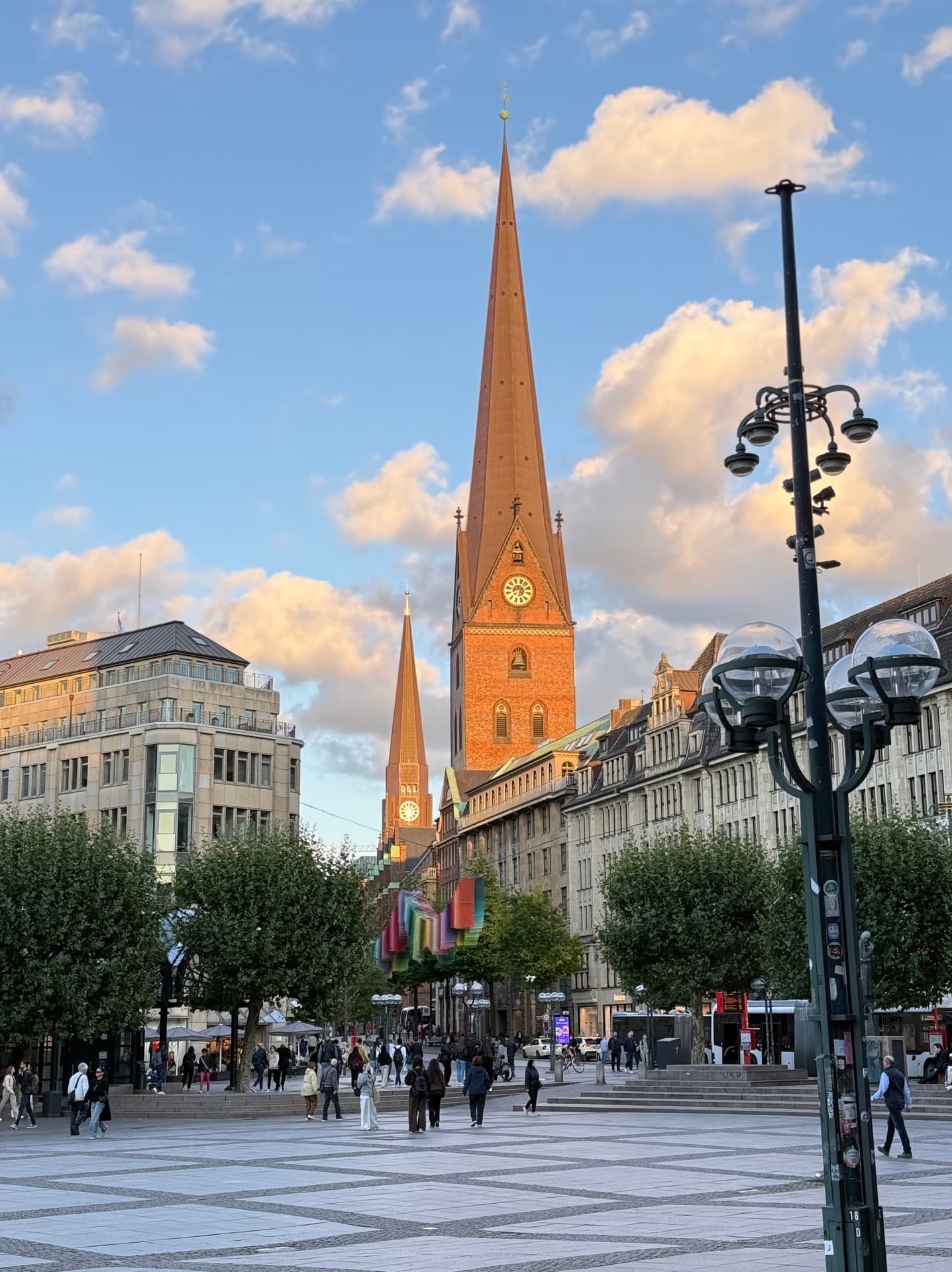 월세집 봐드립니다